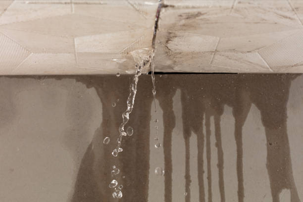 Professional Water Damage Inspection technician working in Plymouth, FL
